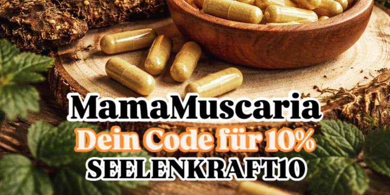 🍄 MamaMuscaria Vitalpilze – 10 % Community Vorteil