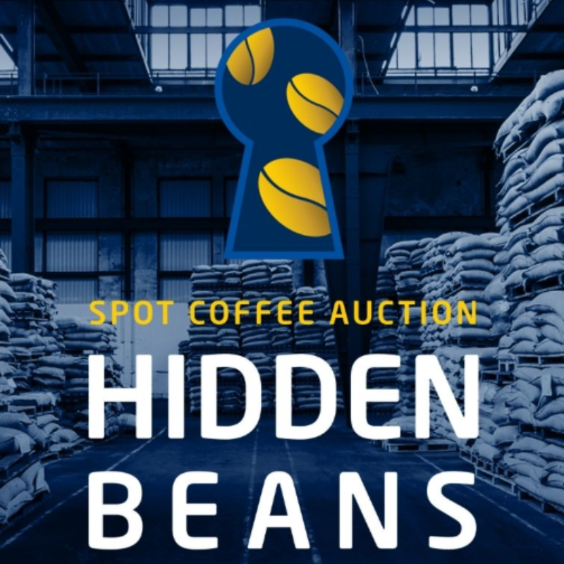 Our Spot Coffee Auction HIDDEN BEANS