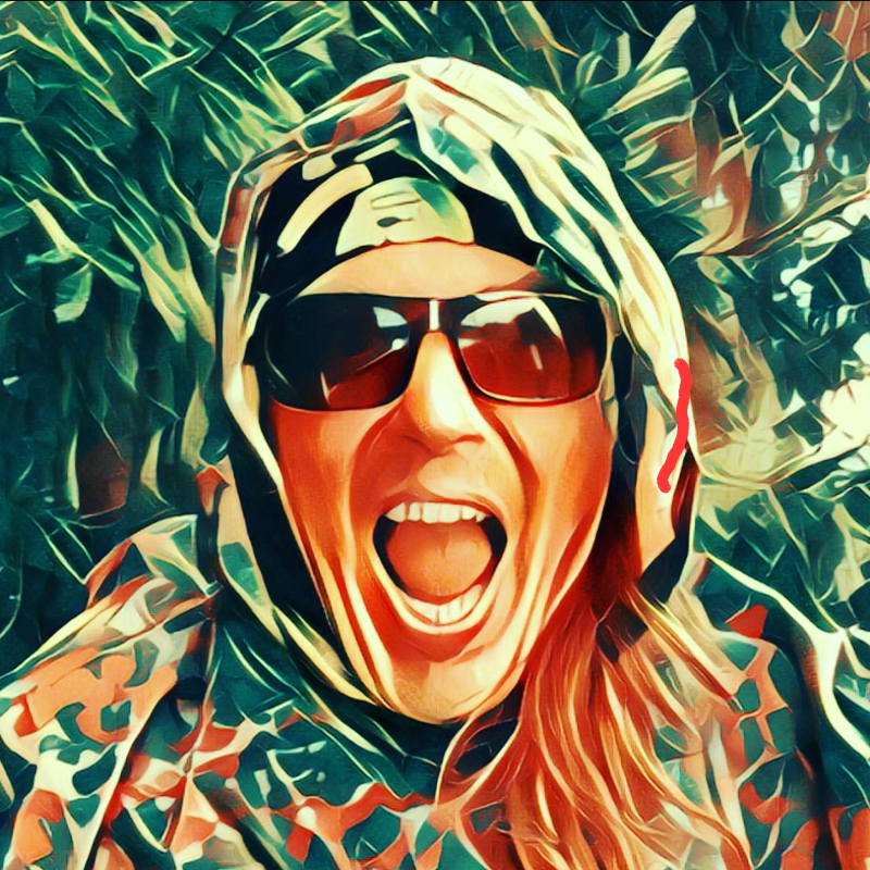 Florian Bindels - Twitch