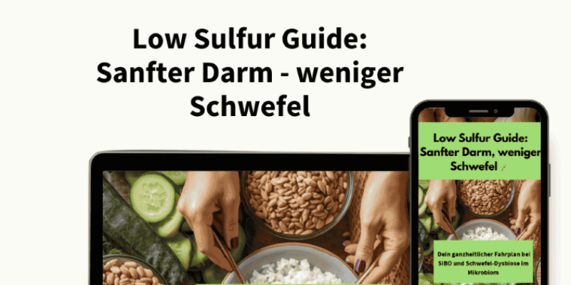 Low Sulfur Guide: Sanfter Darm - weniger Schwefel - 14,90€ -
Strukturierter Fahrplan bei Schwefelwasserstoff-SIBO inkl. 14 Rezepten