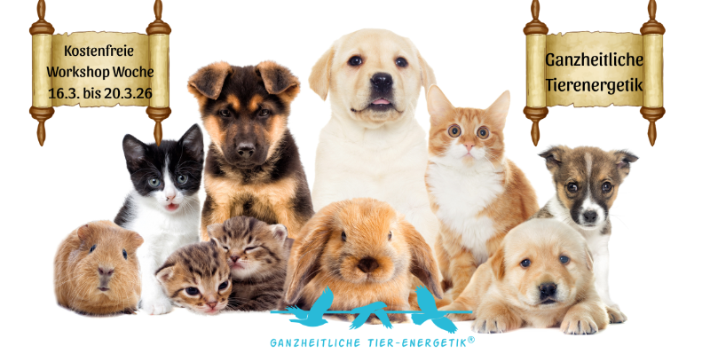 Kostenlose Online Workshop Woche Ganzheitliche Tierenergetik, melde Dich an