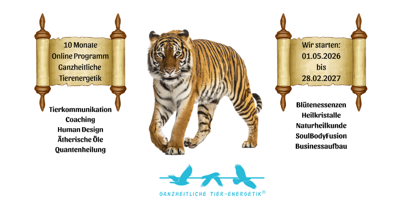 Online Programm: Ganzheitliche Tierenergetik