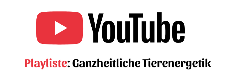 Playliste auf YouTube von allen kostenlosen Workshop Tagen