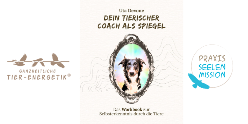 Mein Buch: Dein Tierischer Coach als Spiegel