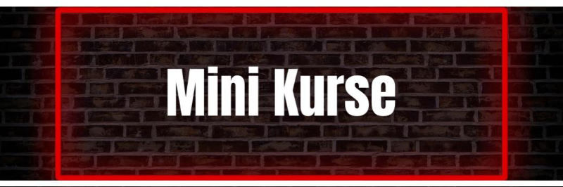 MINI Kurse