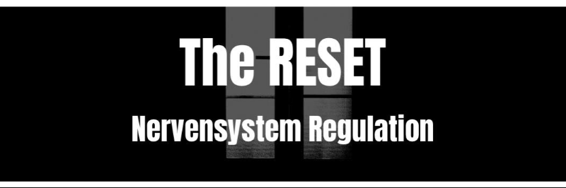 The RESET