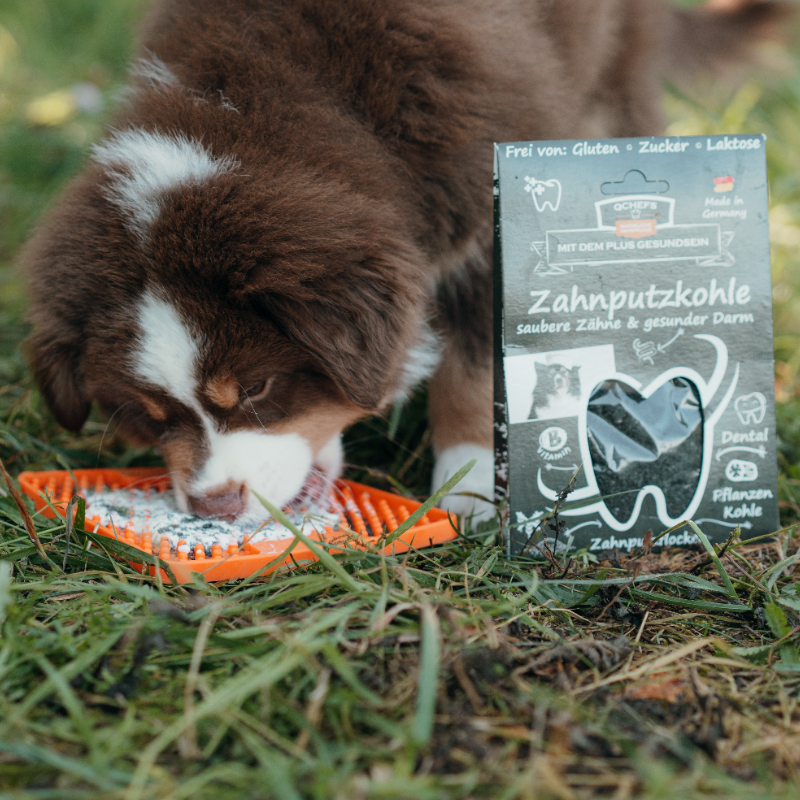 (Werbung) Spare 5% auf Zahnpflegeprodukte von QCHEFS über diesen Link