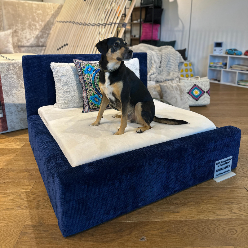 (Werbung) Entwirf dein individuelles Hundebett nach Maß bei deinwunschbett.de!