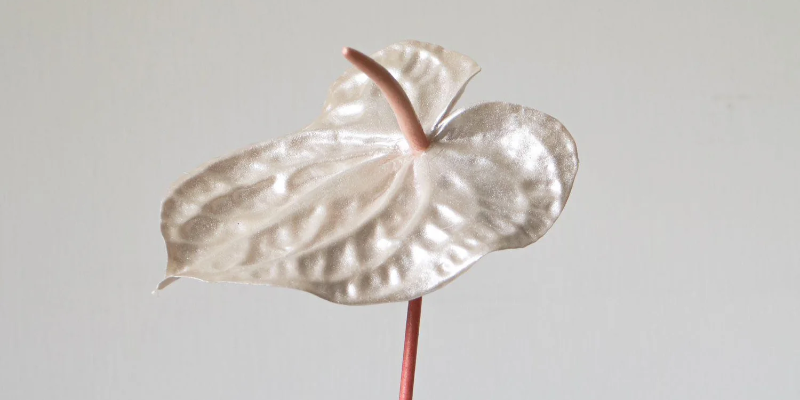 DOMINIK15 – 15% off Reevein Studios