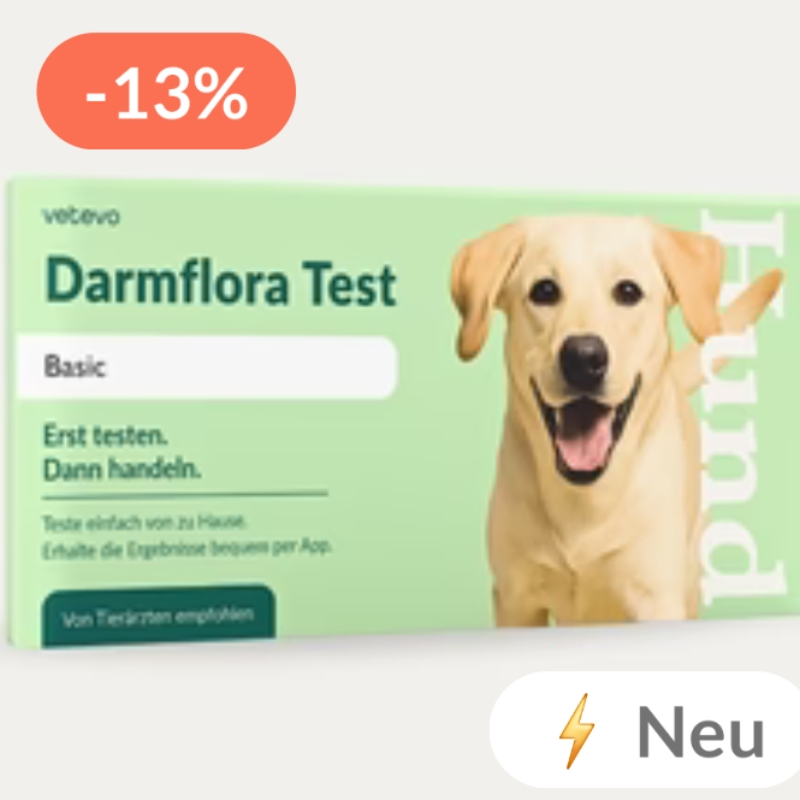 Darmflora Test 
Hund 🐕