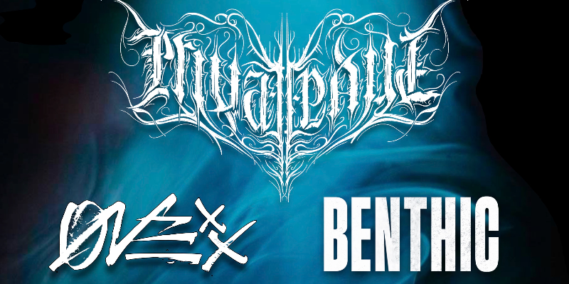 14.03.2026
Private Paul - Onexx - Benthic